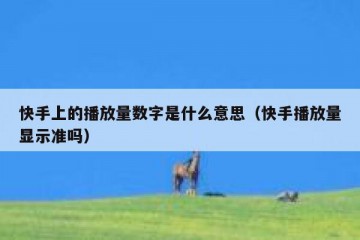 快手上的播放量数字是什么意思（快手播放量显示准吗）