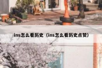 ins怎么看历史（ins怎么看历史点赞）