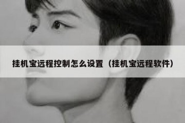 挂机宝远程控制怎么设置（挂机宝远程软件）