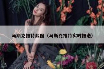 马斯克推特截图（马斯克推特实时推送）