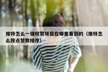 推特怎么一键叹赞项目在哪里看到的（推特怎么按点赞数排序）