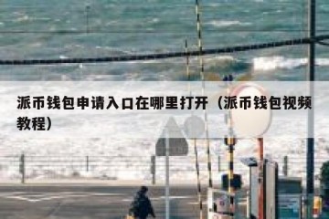 派币钱包申请入口在哪里打开（派币钱包视频教程）
