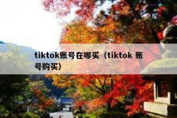 tiktok账号在哪买（tiktok 账号购买）