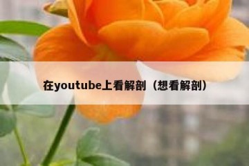 在youtube上看解剖（想看解剖）
