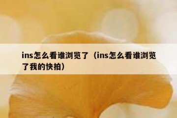 ins怎么看谁浏览了（ins怎么看谁浏览了我的快拍）