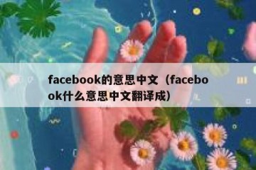 facebook的意思中文（facebook什么意思中文翻译成）
