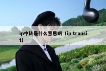 ip中转是什么意思啊（ip transit）