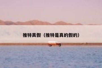 推特真假（推特是真的假的）