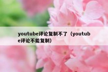 youtube评论复制不了（youtube评论不能复制）