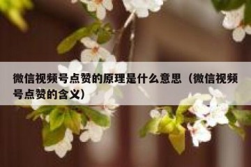 微信视频号点赞的原理是什么意思（微信视频号点赞的含义）