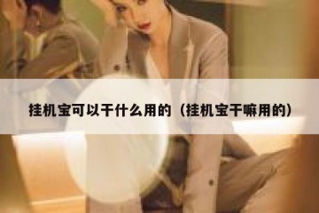 挂机宝可以干什么用的（挂机宝干嘛用的）