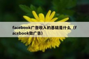 facebook广告收入的基础是什么（facebook做广告）