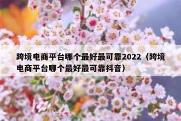 跨境电商平台哪个最好最可靠2022（跨境电商平台哪个最好最可靠抖音）