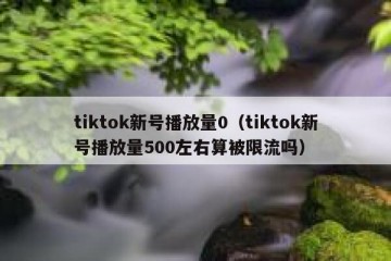 tiktok新号播放量0（tiktok新号播放量500左右算被限流吗）