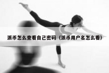 派币怎么查看自己密码（派币用户名怎么看）