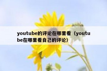 youtube的评论在哪里看（youtube在哪里看自己的评论）