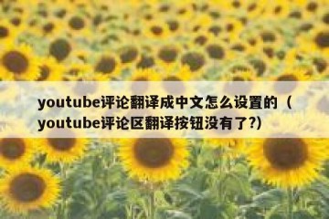 youtube评论翻译成中文怎么设置的（youtube评论区翻译按钮没有了?）