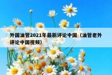 外国油管2021年最新评论中国（油管老外评论中国视频）