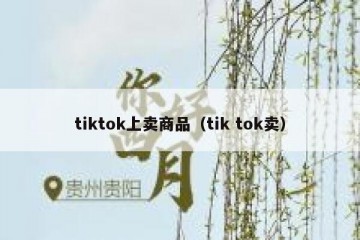 tiktok上卖商品（tik tok卖）