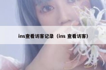 ins查看访客记录（ins 查看访客）