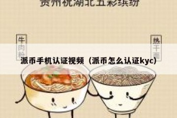 派币手机认证视频（派币怎么认证kyc）