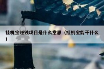 挂机宝赚钱项目是什么意思（挂机宝能干什么）