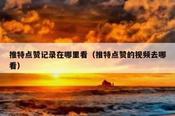 推特点赞记录在哪里看（推特点赞的视频去哪看）