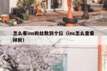 怎么看ins粉丝数到个位（ins怎么查看掉粉）