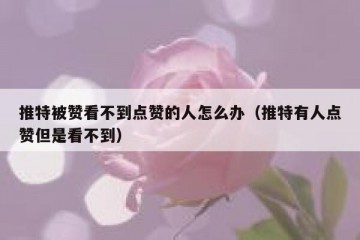 推特被赞看不到点赞的人怎么办（推特有人点赞但是看不到）