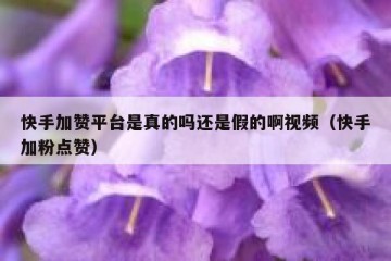 快手加赞平台是真的吗还是假的啊视频（快手加粉点赞）