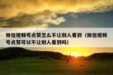 微信视频号点赞怎么不让别人看到（微信视频号点赞可以不让别人看到吗）