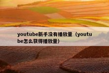 youtube新手没有播放量（youtube怎么获得播放量）