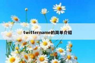 twittername的简单介绍