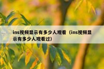 ins视频显示有多少人观看（ins视频显示有多少人观看过）