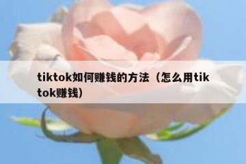 tiktok如何赚钱的方法（怎么用tiktok赚钱）