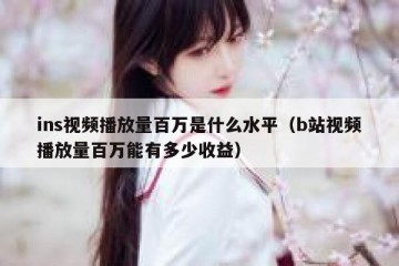 ins视频播放量百万是什么水平（b站视频播放量百万能有多少收益）