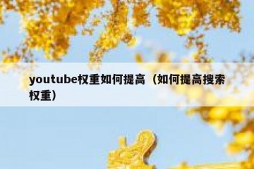 youtube权重如何提高（如何提高搜索权重）