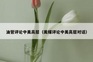 油管评论中美高层（美媒评论中美高层对话）