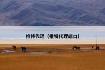 推特代理（推特代理端口）