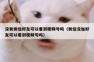 没有微信好友可以看到视频号吗（微信没加好友可以看到视频号吗）