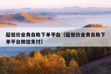 超低价业务自助下单平台（超低价业务自助下单平台微信支付）