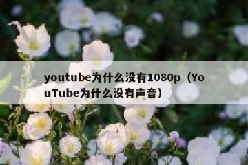 youtube为什么没有1080p（YouTube为什么没有声音）