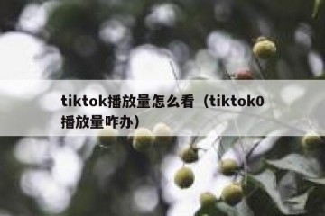 tiktok播放量怎么看（tiktok0播放量咋办）