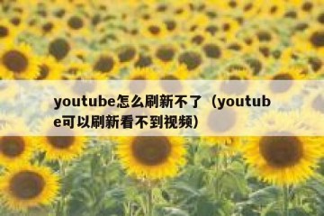 youtube怎么刷新不了（youtube可以刷新看不到视频）