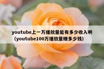 youtube上一万播放量能有多少收入啊（youtube100万播放量赚多少钱）