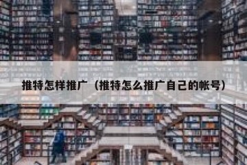 推特怎样推广（推特怎么推广自己的帐号）