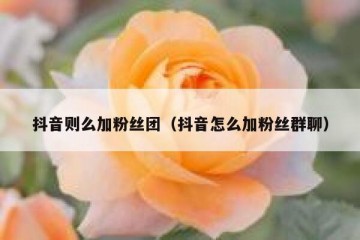 抖音则么加粉丝团（抖音怎么加粉丝群聊）