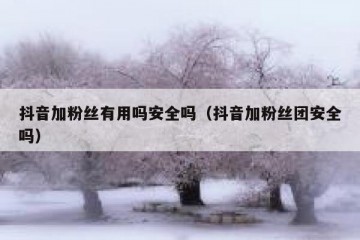 抖音加粉丝有用吗安全吗（抖音加粉丝团安全吗）