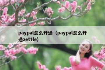 paypal怎么开通（paypal怎么开通zettle）