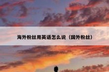 海外粉丝用英语怎么说（国外粉丝）